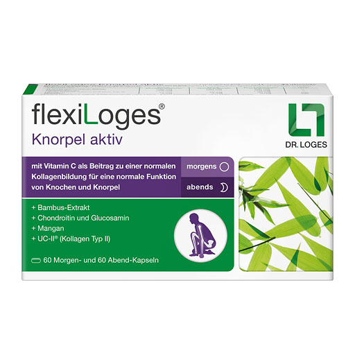 FLEXILOGES Knorpel aktiv Kapseln 240 St  