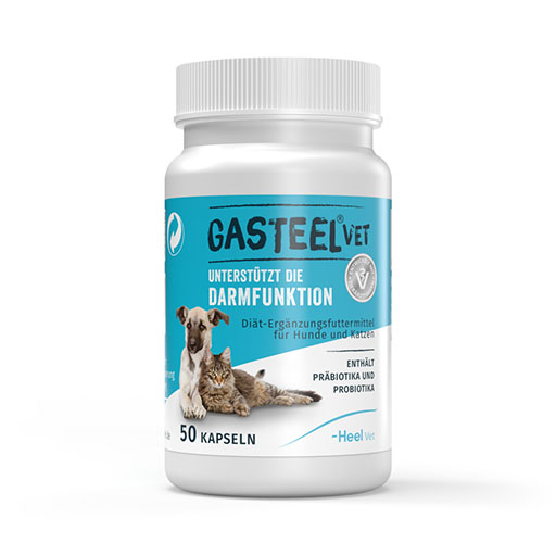 GASTEEL Diät-Erg. Futterm. Kapseln f. Hunde/Katzen 50 St